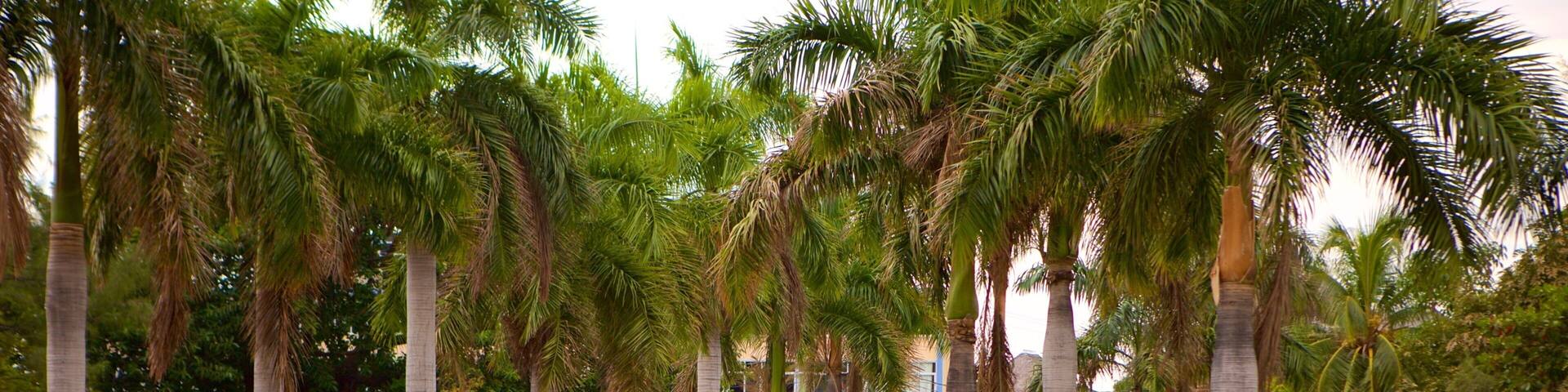 National Heroes Park das einen Park