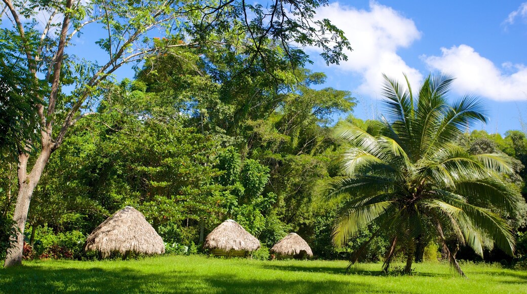 Westmoreland which includes a garden