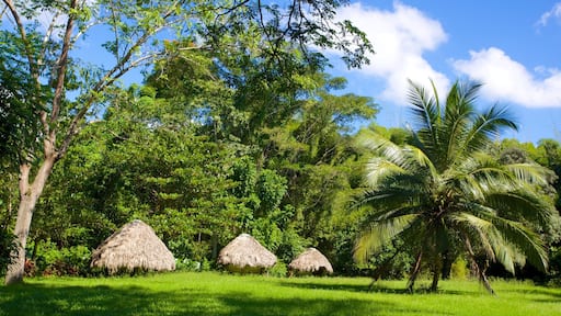 Westmoreland which includes a garden