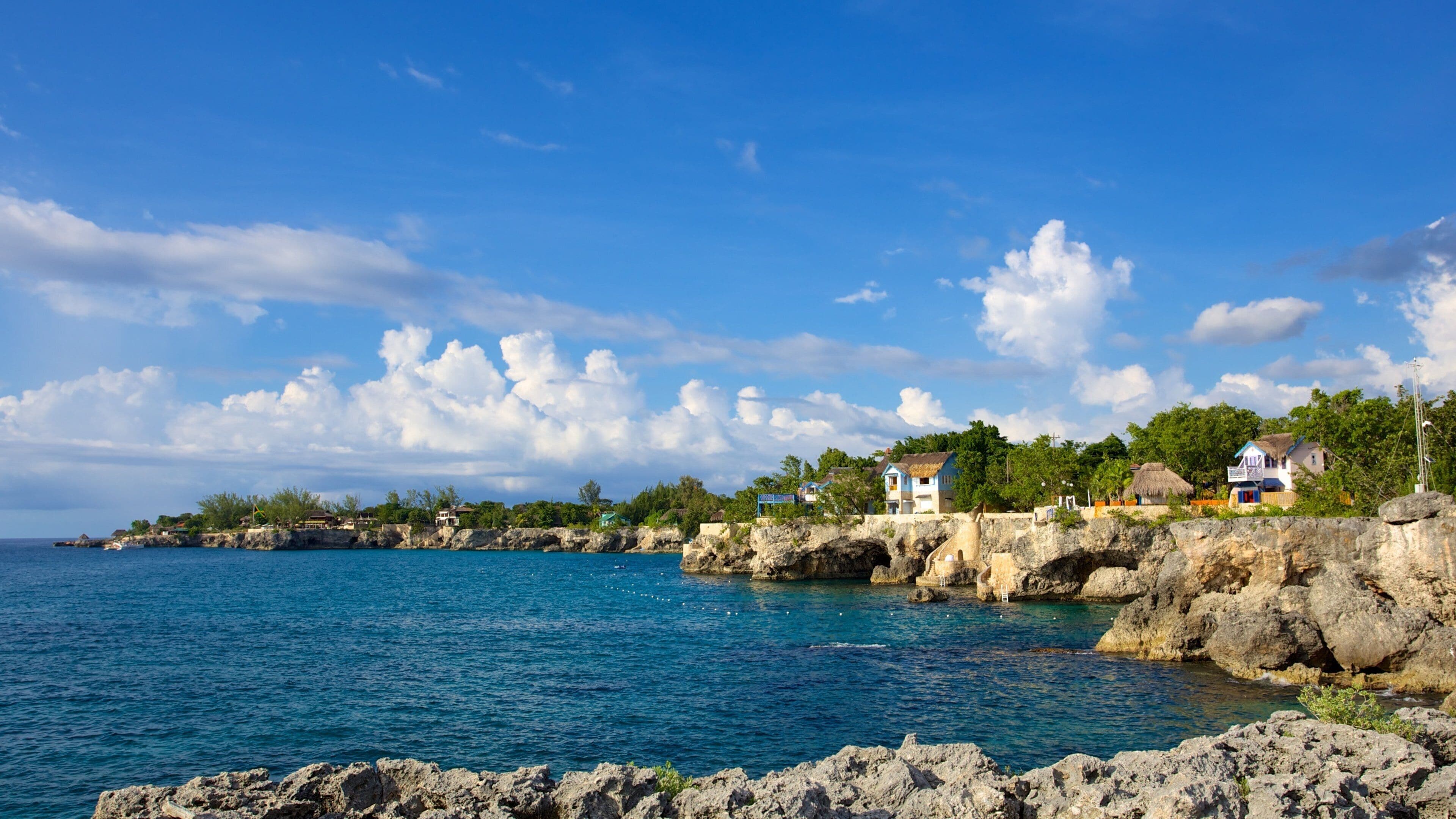 Westmoreland featuring general coastal views and rugged coastline