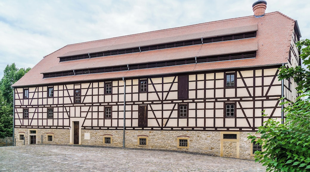 Alte Mälzerei (Oberes Brauhaus), Kalkstraße 32 in Zeitz