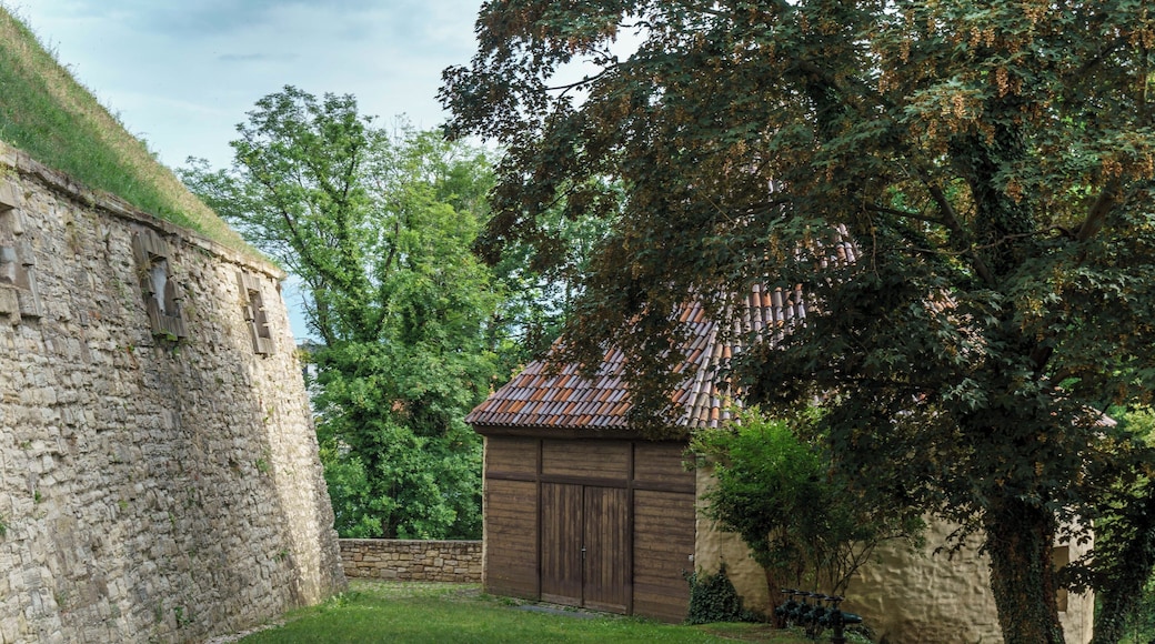Schlossmauer und Mauerturm im Detmolder Garten von Schloss Moritzburg in Zeitz