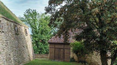 Schlossmauer und Mauerturm im Detmolder Garten von Schloss Moritzburg in Zeitz