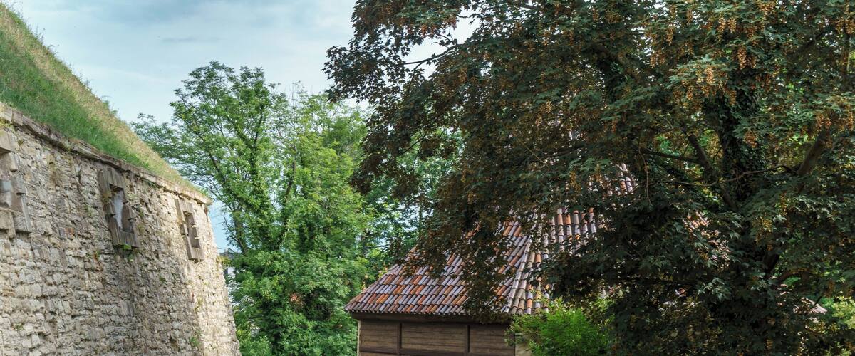 A stone wall, a wooden building with a tiled roof, and a large tree in a grassy area.