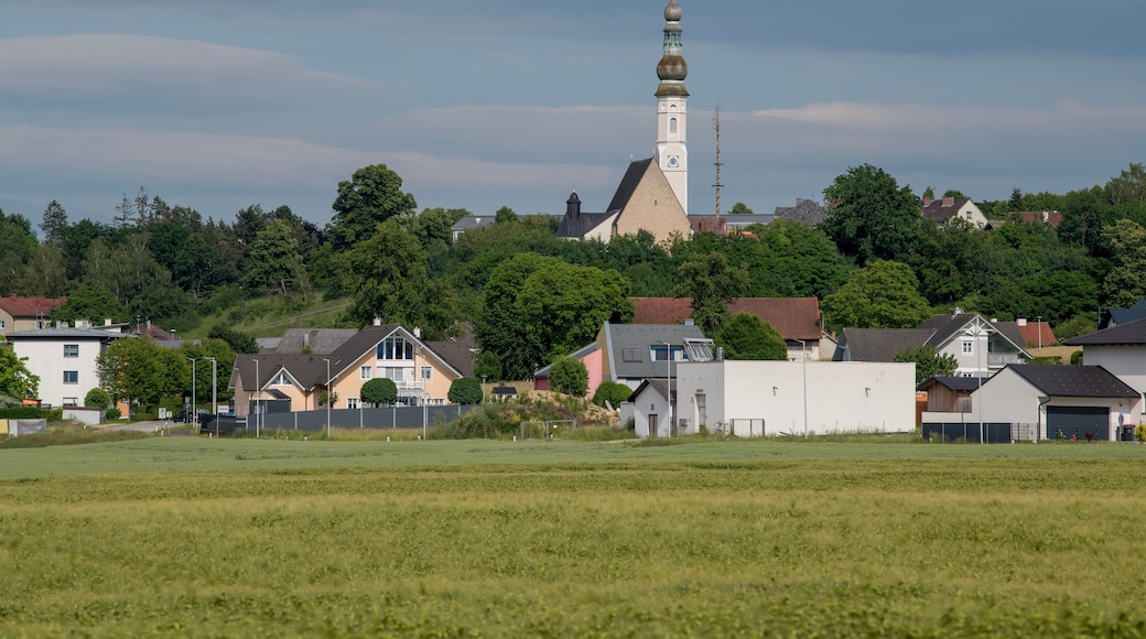 Pfarrkirche Geinberg im Innviertel mit Ortszentrum
