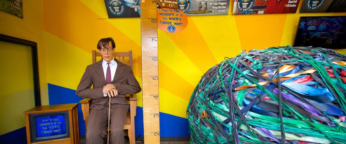 Guinness World Records Museum which includes interior views
