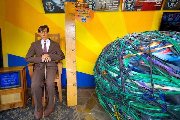 Guinness World Records Museum which includes interior views