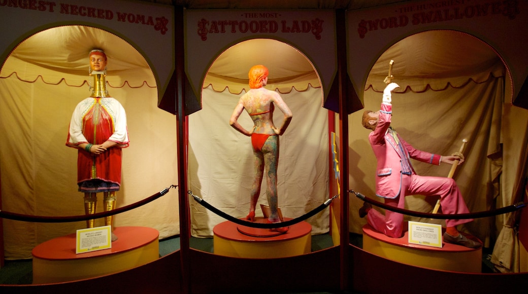 Guinness World Records Museum showing interior views