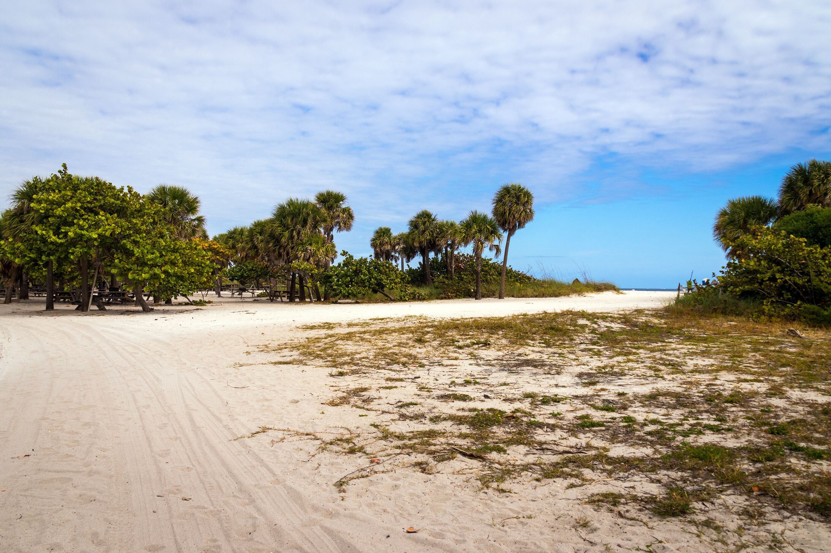 Dr. Von D. Mizell-Eula Johnson State Park