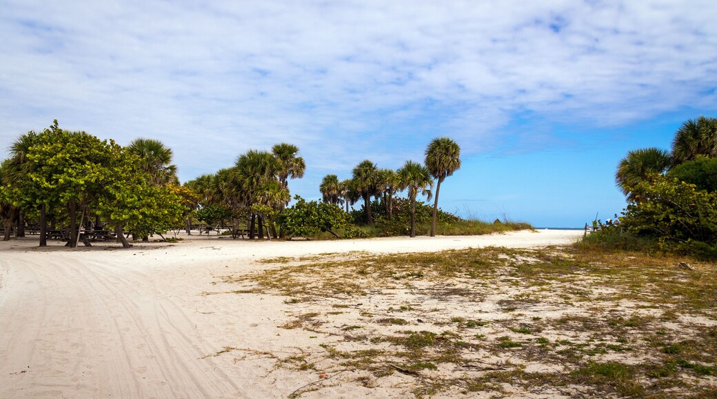 Dr. 본 D. 미젤-율라 존슨 주립공원
