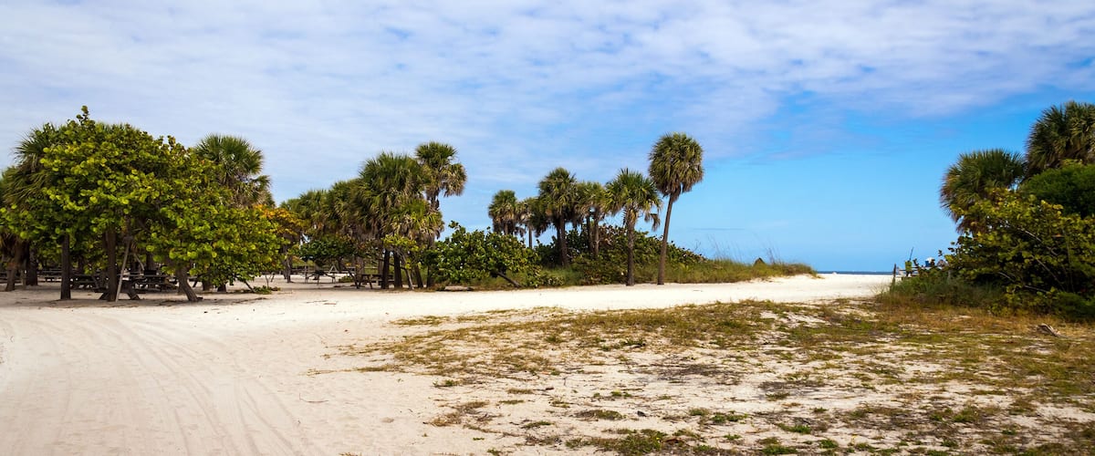 Dr. Von D. Mizell-Eula Johnson State Park