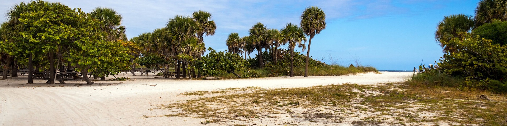 Dr. Von D. Mizell-Eula Johnson State Park