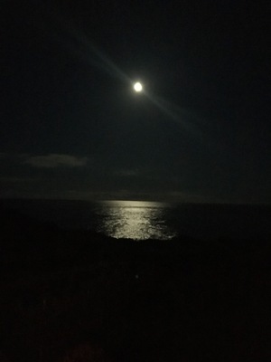 The Pico, Azores full moon lit sea.