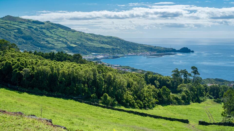 A coastal landscape with rolling hills, dense forests, and a view of the sea.