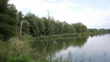 Angelsee Undank bei Athensleben in 3D