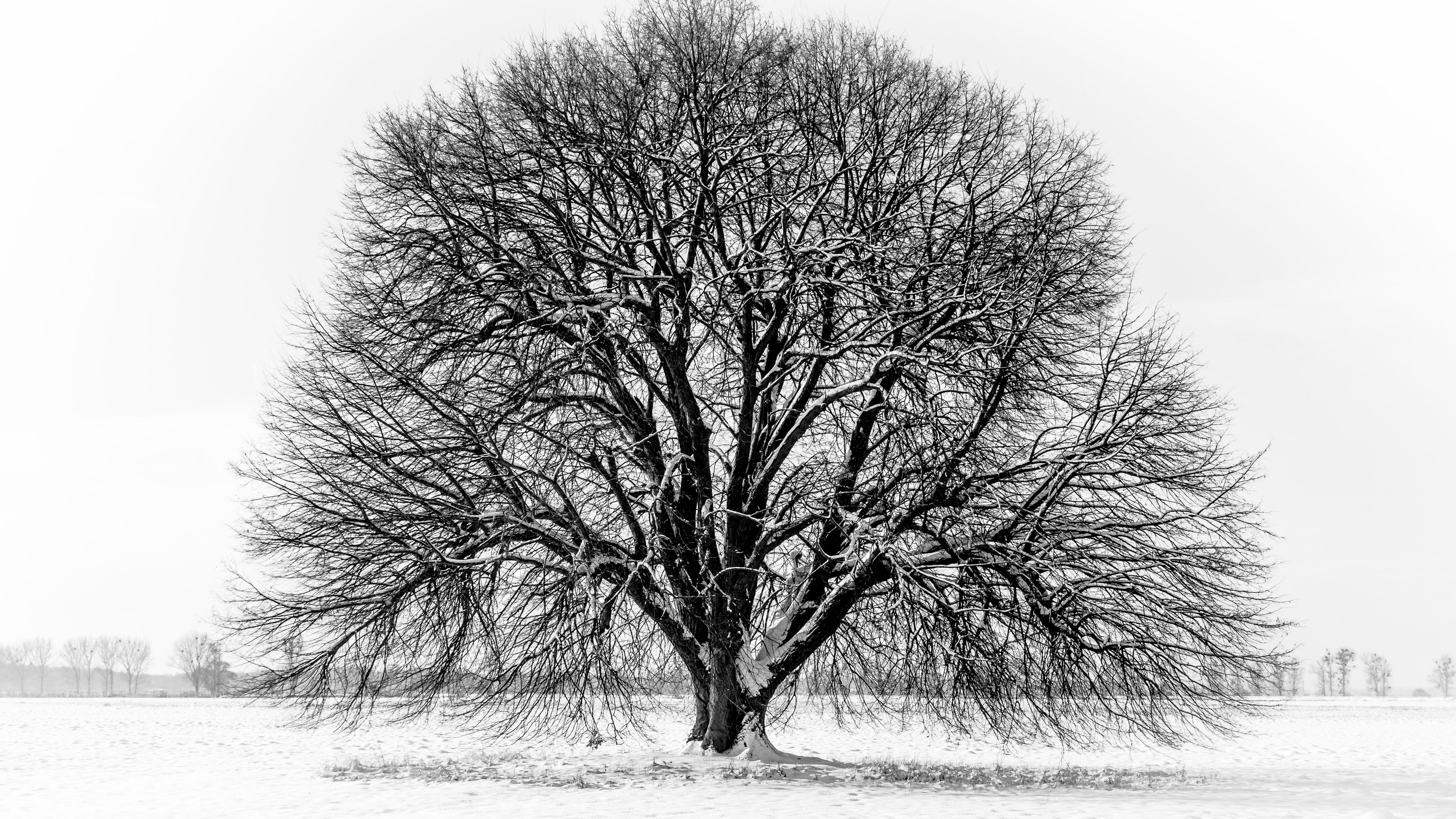 Winterlandschaft