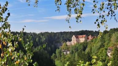 A castle surrounded by dense forest and a river.