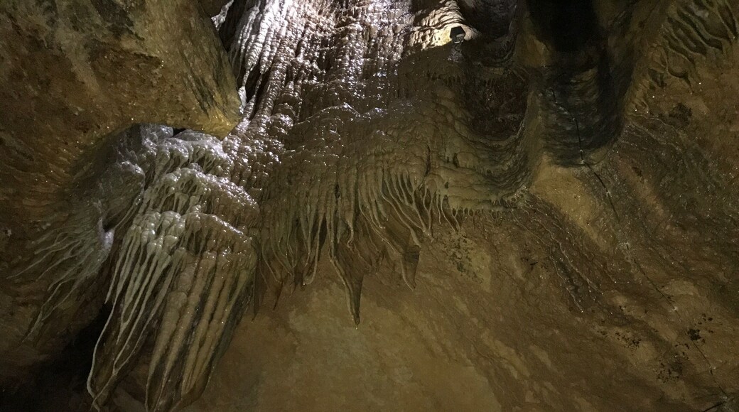 Another very beautiful cave also called the queen of caves
#queen
#cave
#wonderfulnature