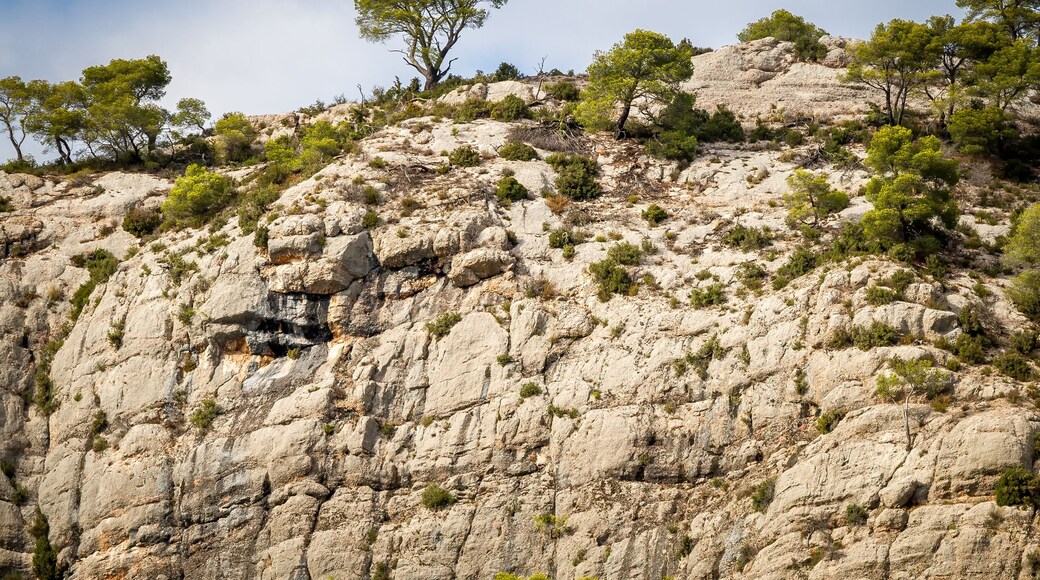 Die Ausläufer des Mt. Saint Victoire bei Le Tholonet
