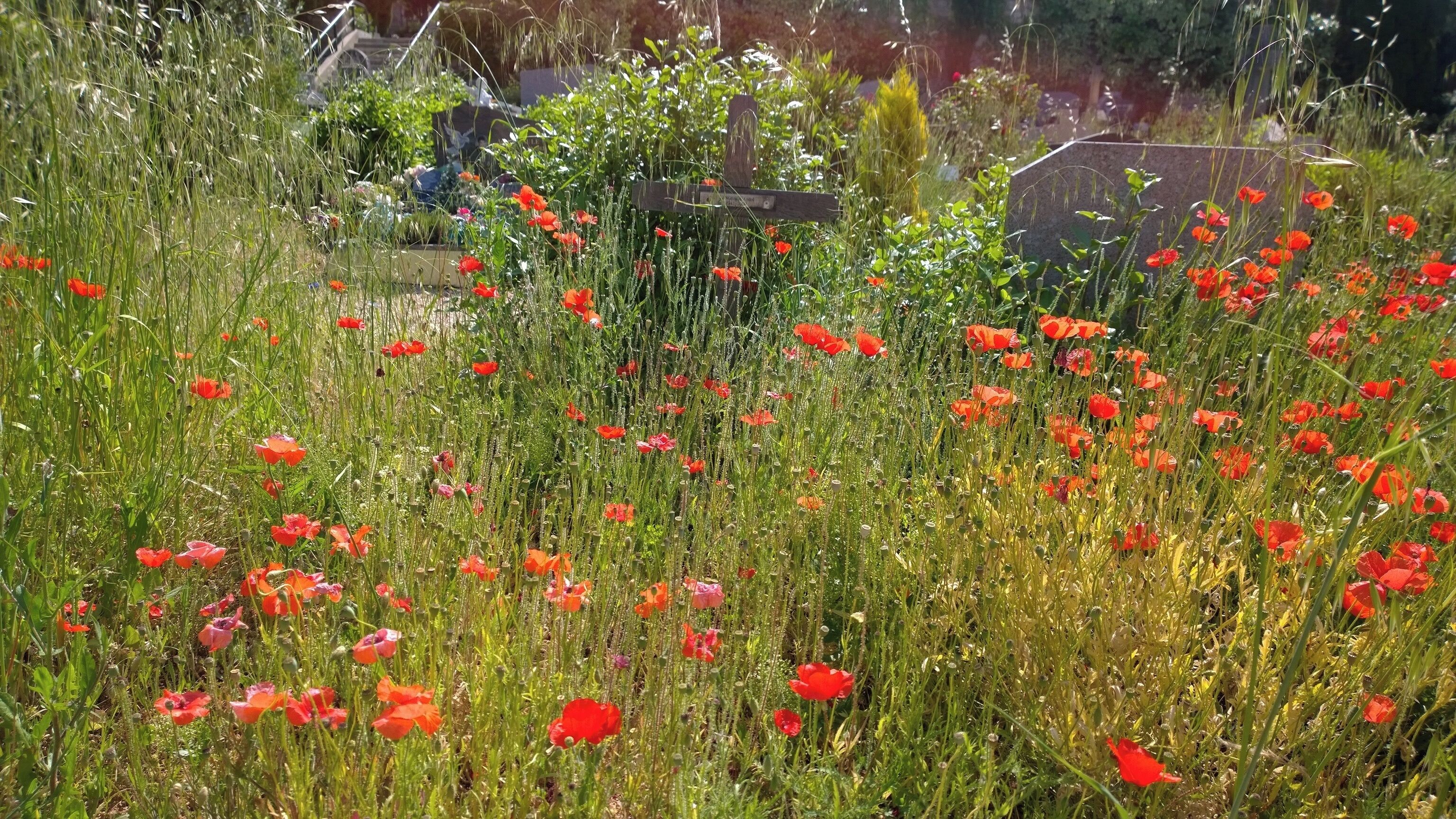 Cimetière du Tholonet