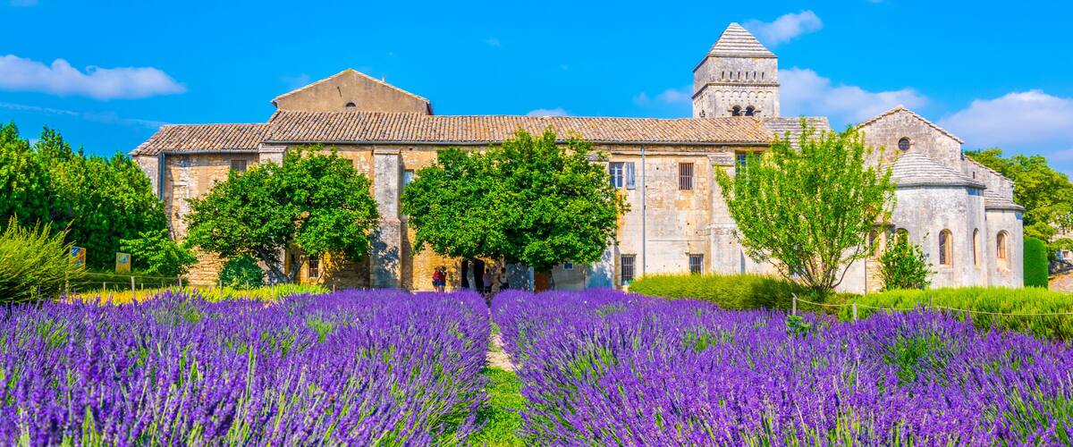 A historic building with a tower, surrounded by a lavender field.