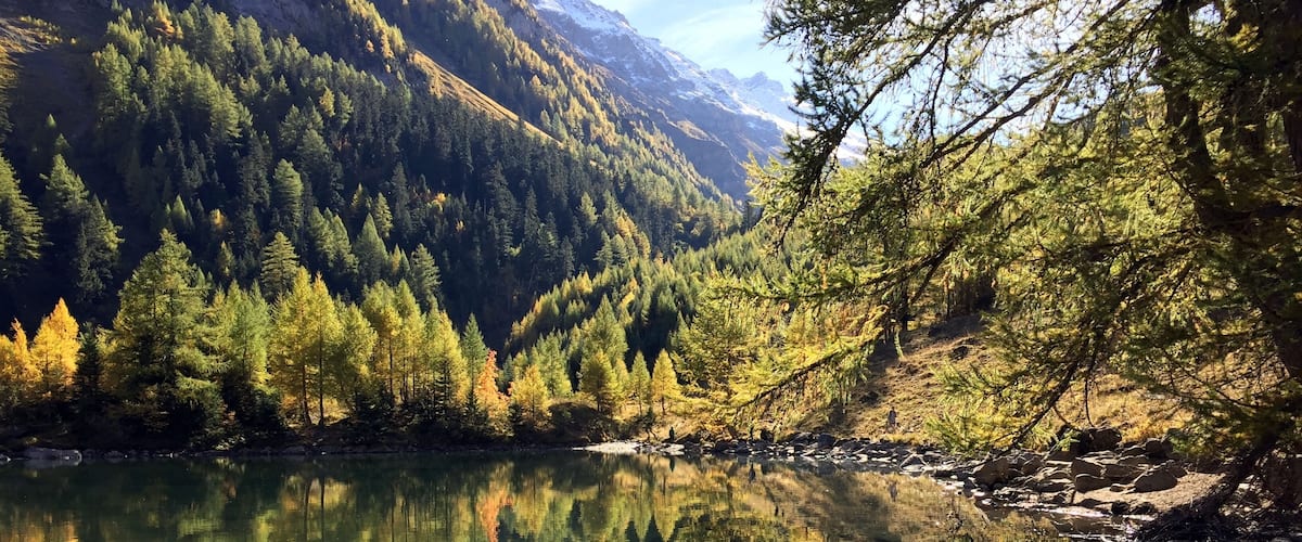 Autumn colours at Derborence lake, a hidden jewel at the heart of the Swiss Alps.
#LifeAtExpediaGroup
While there, try out the traditional hunting season meal at the lake restaurant!