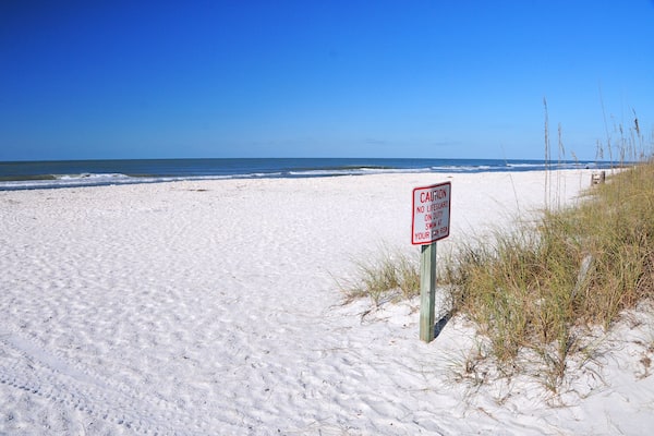Beach on Caladesi Island State Park, Florida, USA, Shutterstock ID 110696807, Purchase Order: SP-1891 Wave 0, Client/Licensee: Hotels.com