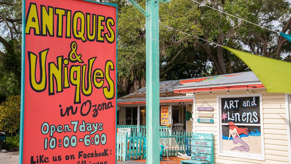 A storefront with a sign advertising 'Antiques & Unique finds in Ozone' and 'Art and Linens'.
