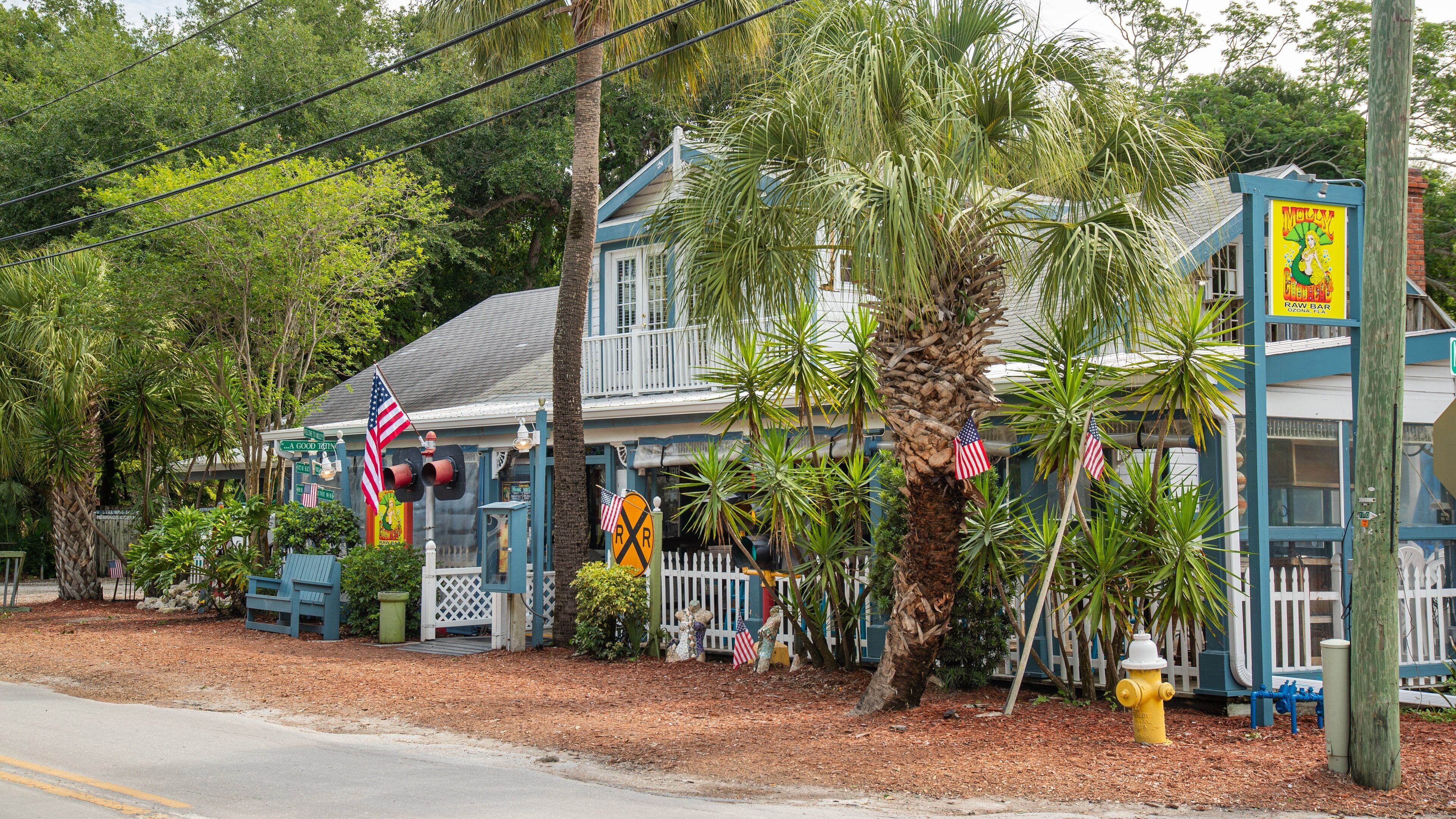 Ozona featuring a house