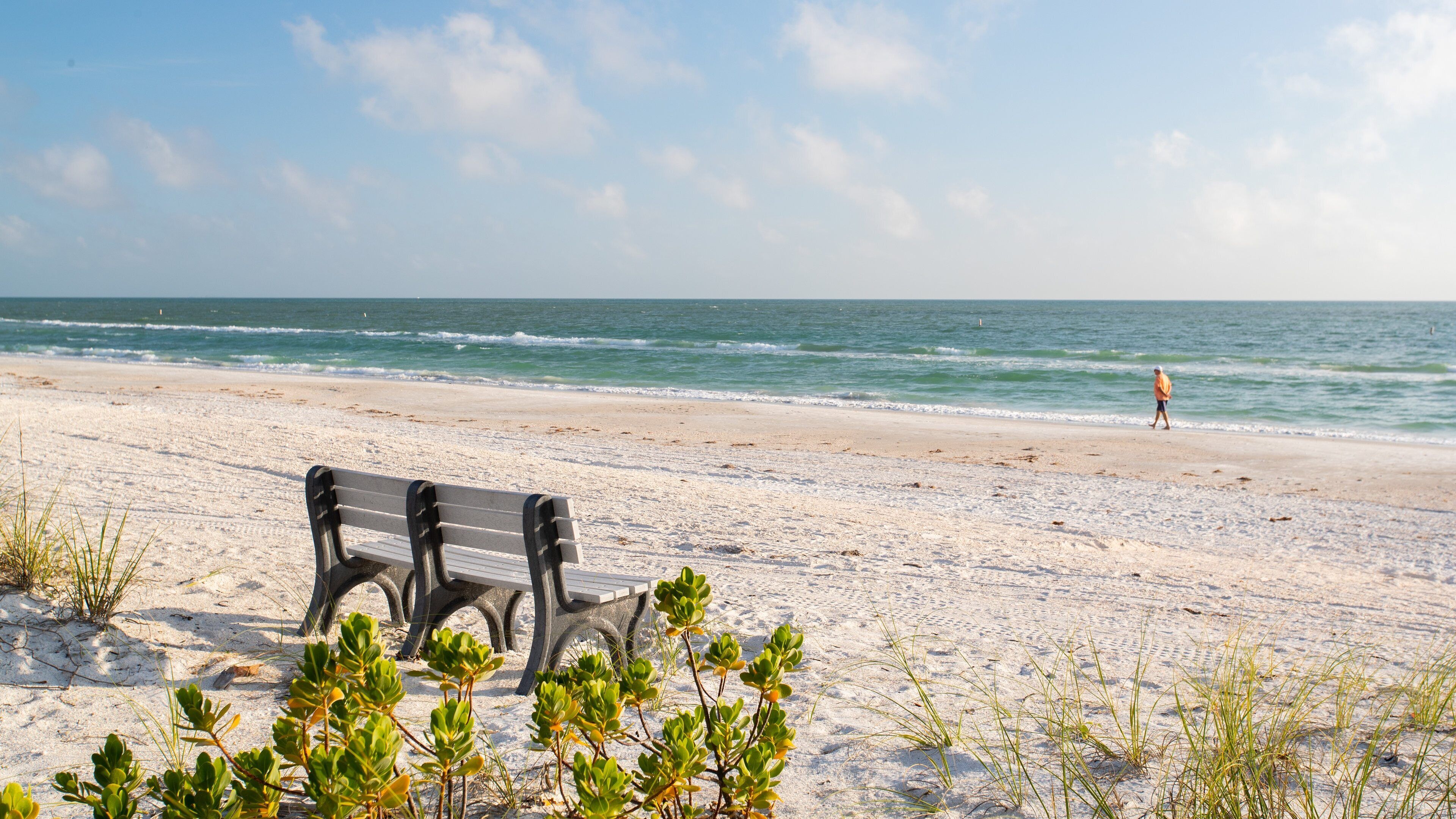 A beach with a bench, seaweed, and a person walking.