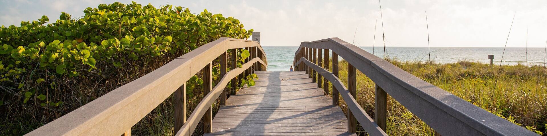 Treasure Island showing general coastal views