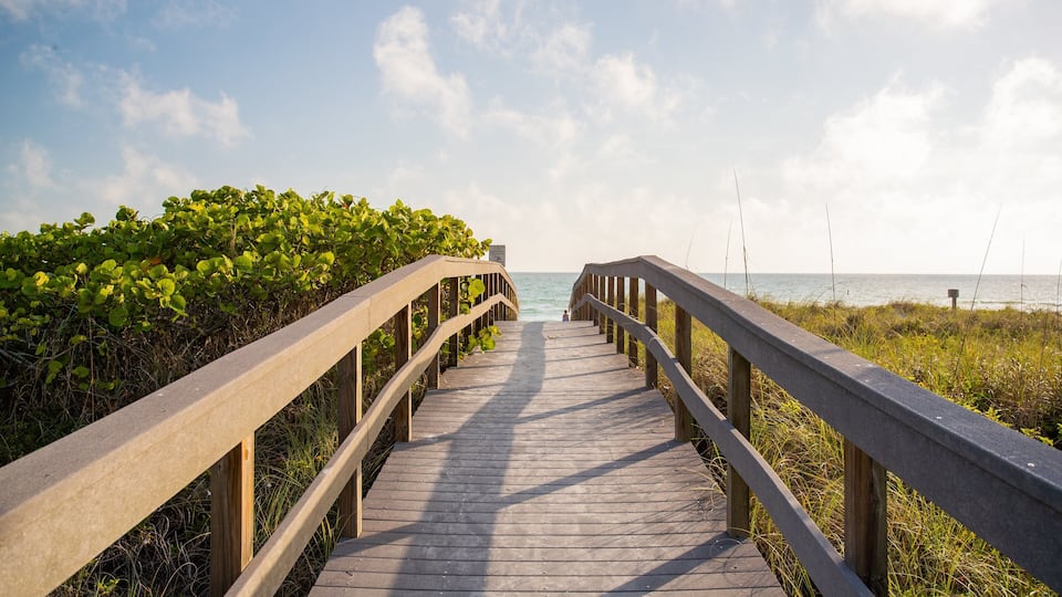 Treasure Island showing general coastal views