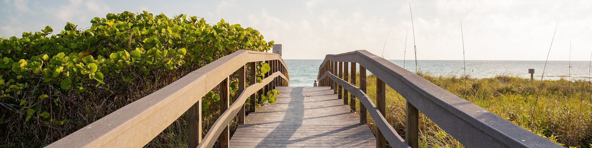 A wooden boardwalk leading to the ocean, surrounded by greenery.