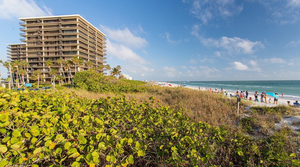 Treasure Island featuring general coastal views