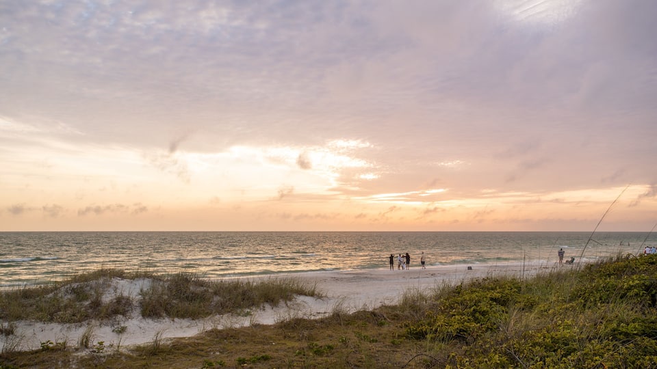 Treasure Island featuring a sunset and general coastal views