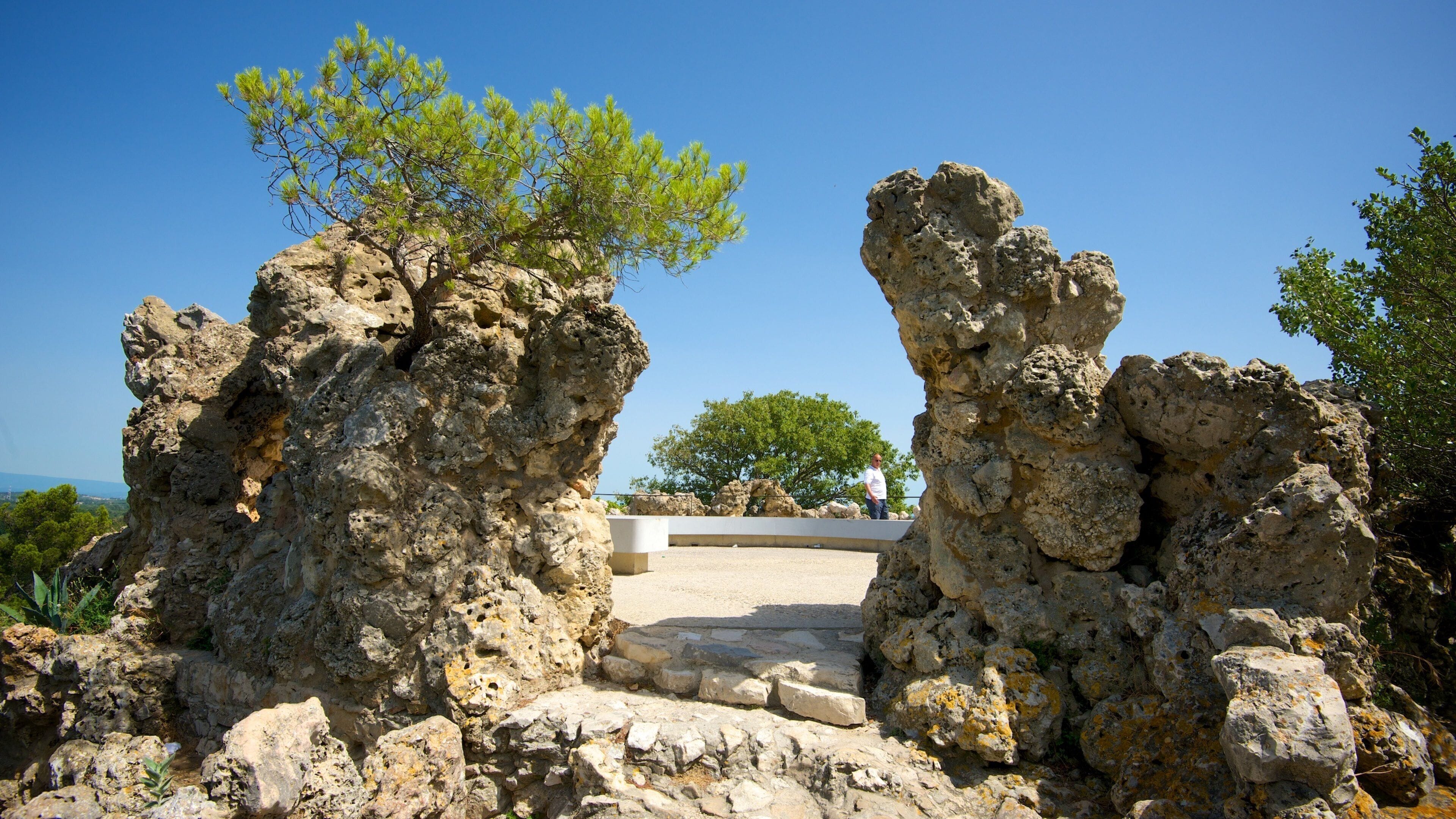 Parc des Expositions featuring a garden and views