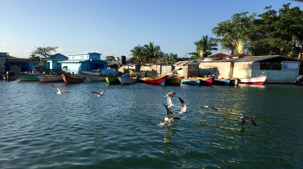I quickly snapped this shot whilst our guide was trying to find us one of the many crocodiles that live in the river.