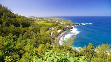 Petite-Ile which includes general coastal views