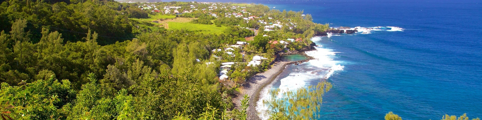 Petite-Ile showing general coastal views
