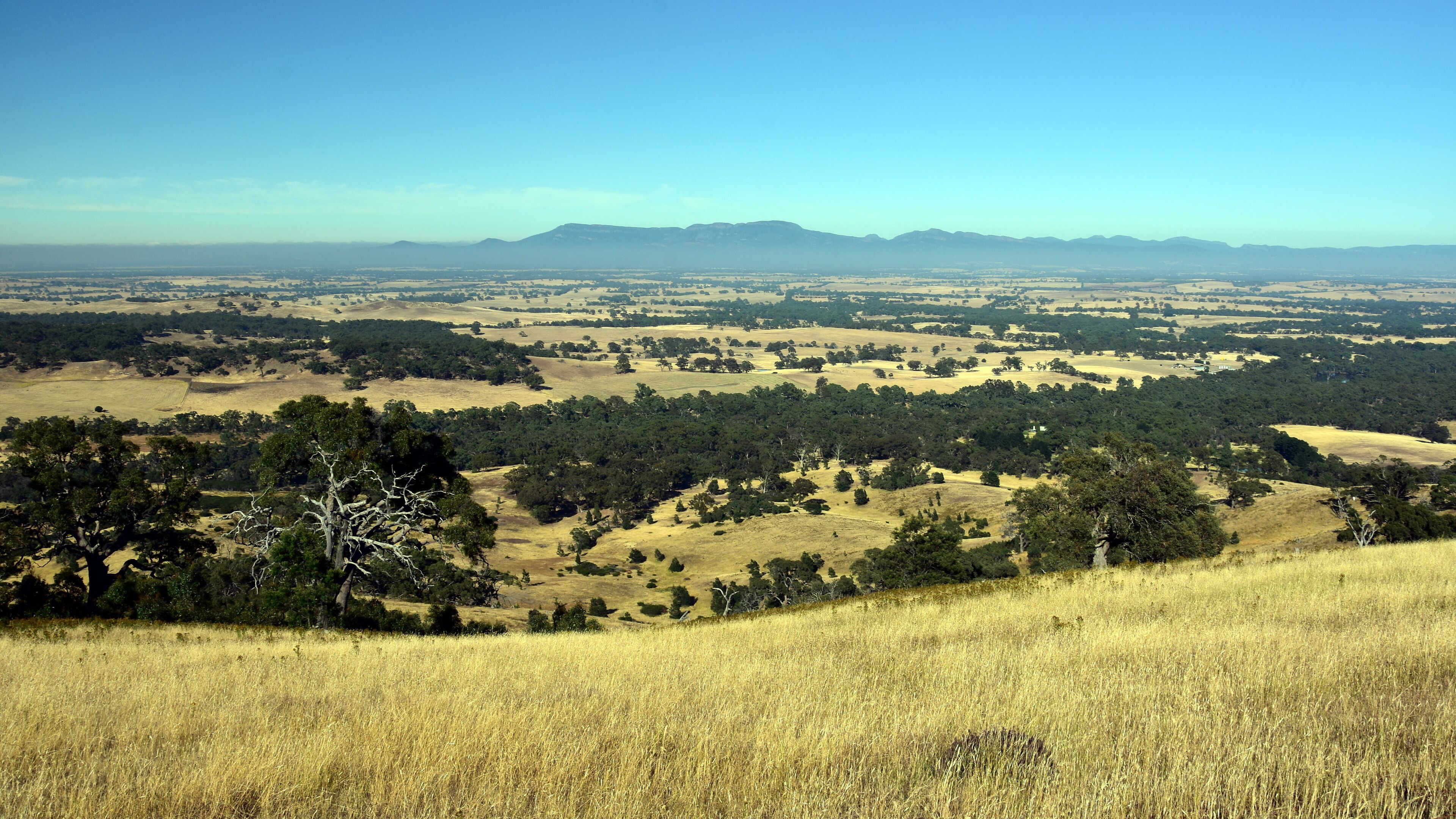 Early morning View from One Tree Hill Lookout (Ararat, VIC Australia). Broad panorama of the countryside in Western District of Victoria.