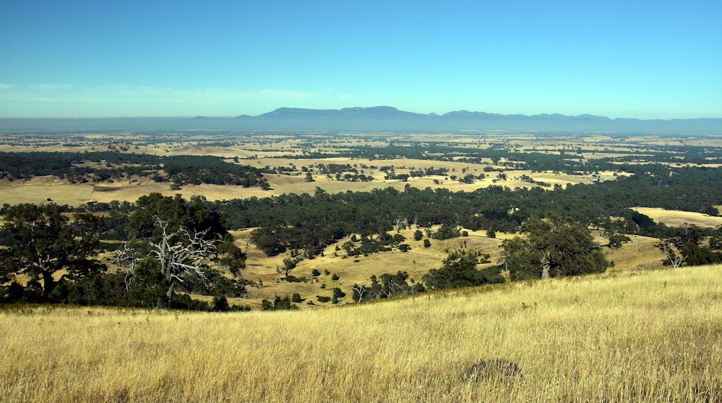 Early morning View from One Tree Hill Lookout (Ararat, VIC Australia). Broad panorama of the countryside in Western District of Victoria.