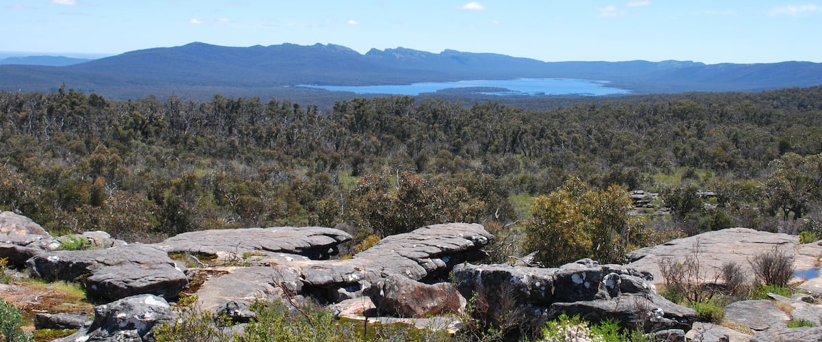 A mountainous landscape with a lake and dense forest.