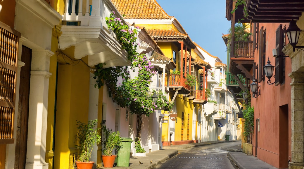 Colonial Architecture Street View