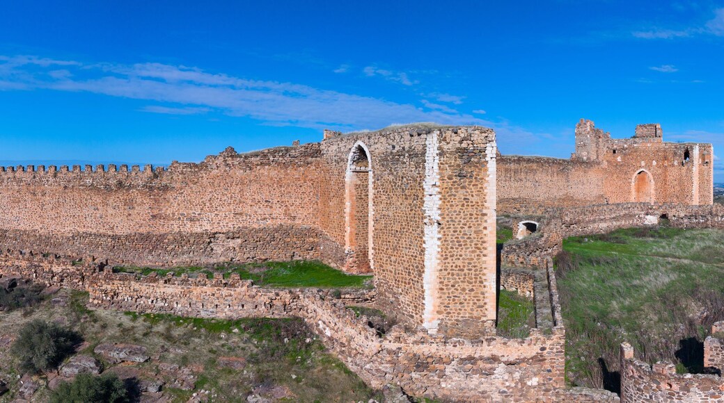Aerial view from a drone of the landscape at Montalban Castle in San Martin de Montalban, Toledo Province, Castile-La Mancha, Spain, Europe