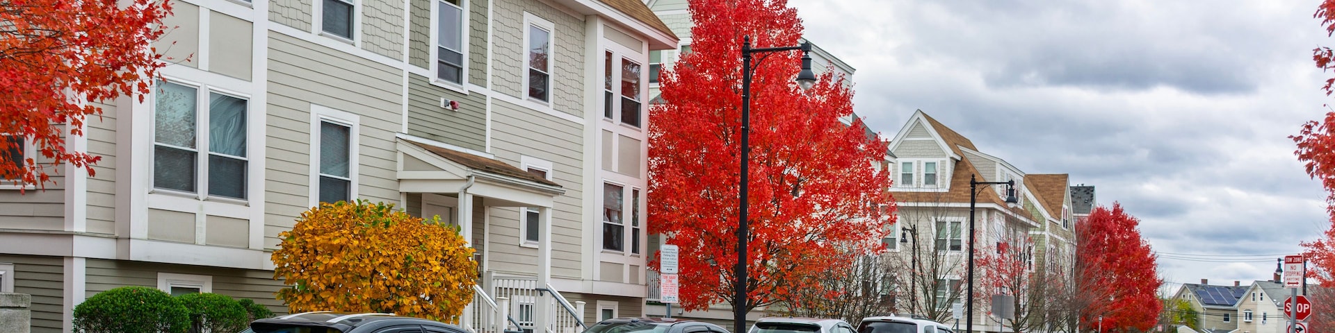 Eine Wohnstraße gesäumt von Häusern und Herbstbäumen.