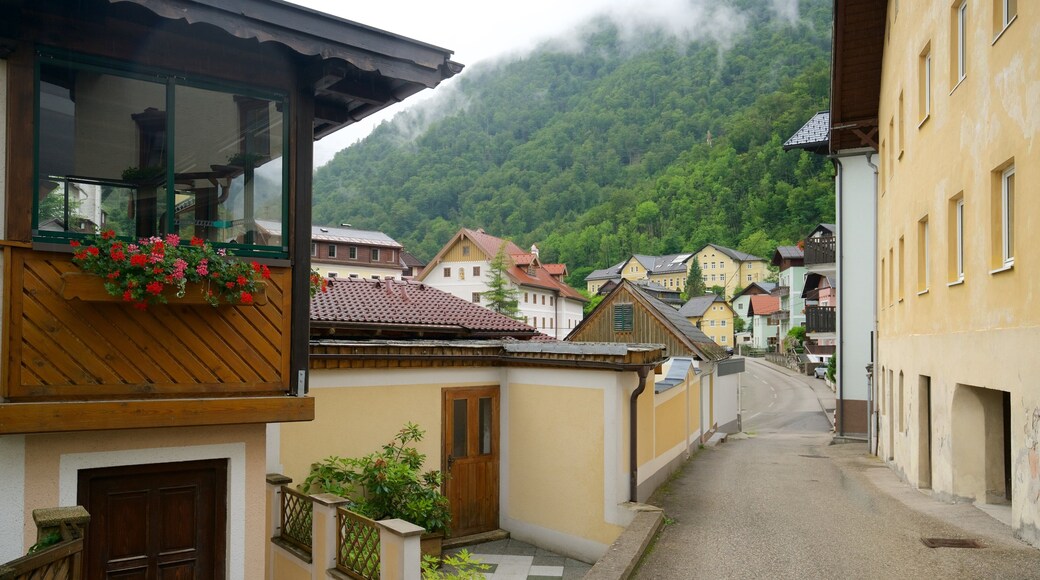 Ebensee featuring heritage elements and flowers