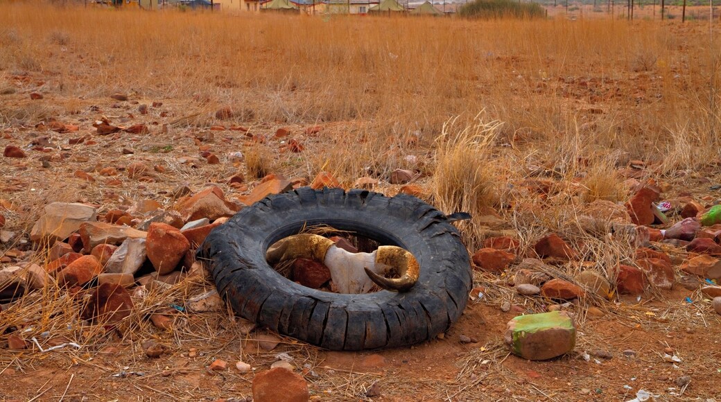 Namibia is one of the few countries in Africa where it is safe and easy to rent a car and drive by yourself. We had our epic #roadtrip in 2012/13 and loved it. We are going back for sure! We had heavy rain in the desert! Read more on: http://www.travelwithallsenses.com/namibia-desert-country-surprises/