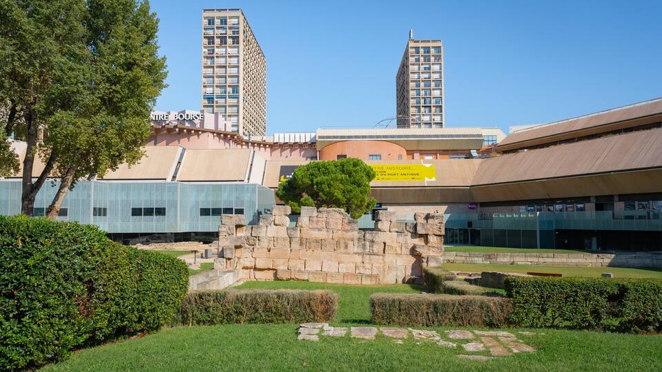 A modern building with a glass facade, a stone wall with a tree, and two tall buildings in the background.