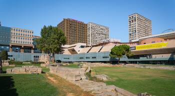 Jardin des Vestiges which includes a garden