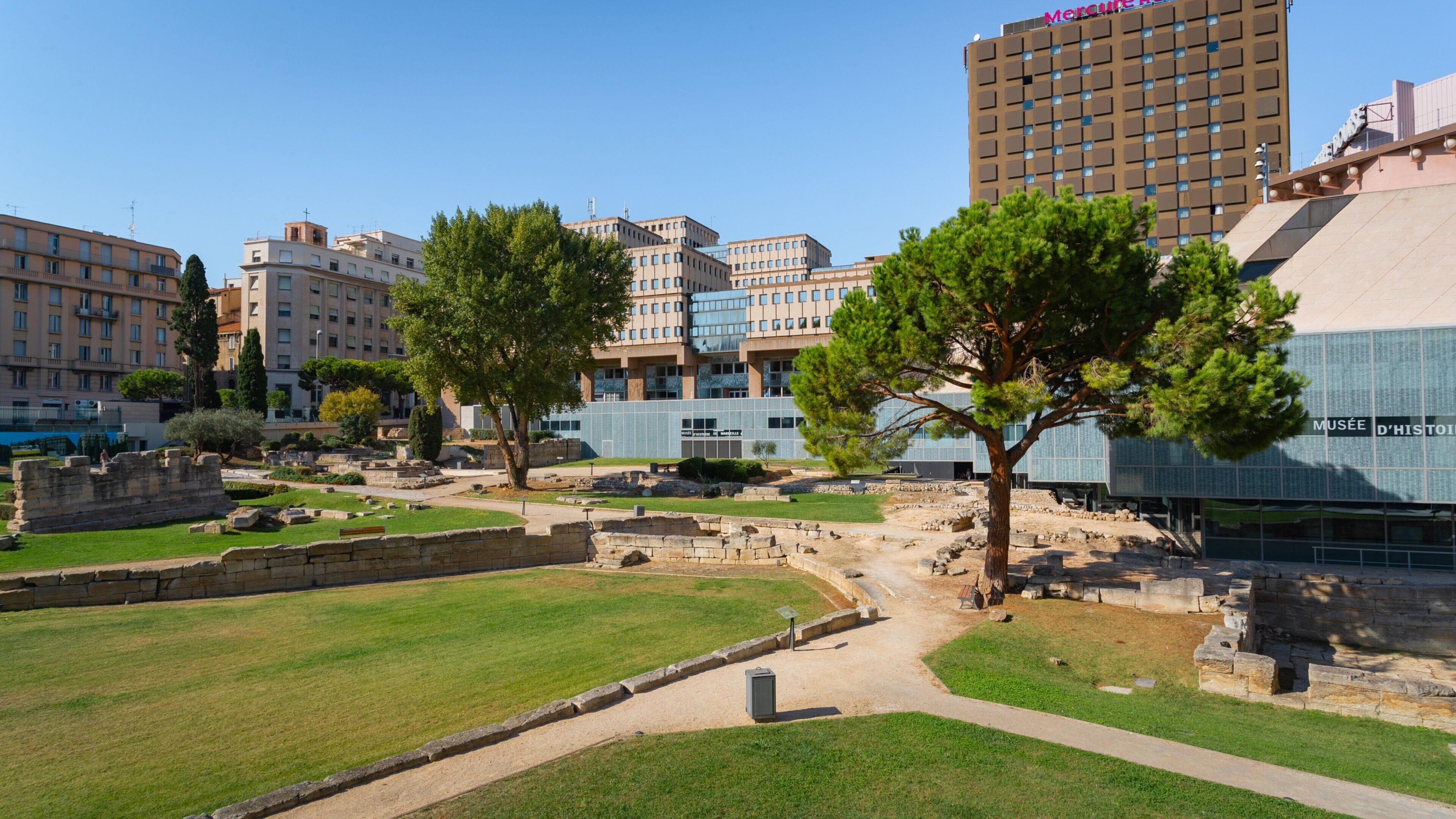 Jardin des Vestiges showing a garden